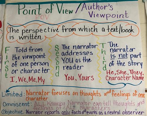 Point of View or Author's Viewpoint 